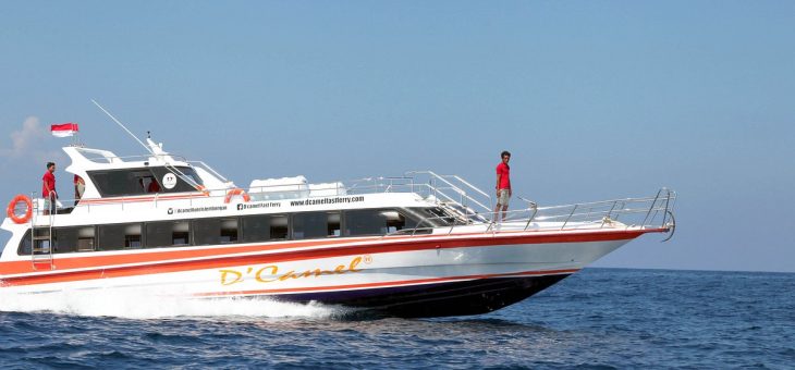 D’camel Fast Ferry The Best Transportation to Nusa Lembongan